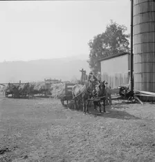 Farmers feeding corn into cooperatively owned..., near W Street at Carlton, Oregon, 1939. Creator: Dorothea Lange