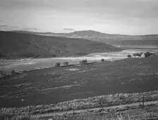 Farmers have just sown their winter wheat, Small Finger Valley, Eastern Oregon, 1939. Creator: Dorothea Lange