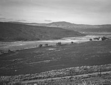 Farmers have just sown their winter wheat, Small Finger Valley, Eastern Oregon, 1939. Creator: Dorothea Lange
