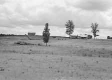 Farmhouse and landscape of Negro tenant family..., Near Pittsboro, North Carolina, 1939. Creator: Dorothea Lange