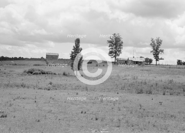 Farmhouse and landscape of Negro tenant family..., Near Pittsboro, North Carolina, 1939. Creator: Dorothea Lange.