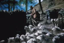Farming Herdwick Sheep, Langdale Valley Farm, Lake District, c1960. Artist: CM Dixon