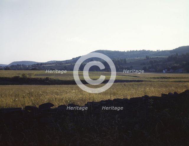 Farmland along the upper Delaware River in New York state., 1943. Creator: John Collier.
