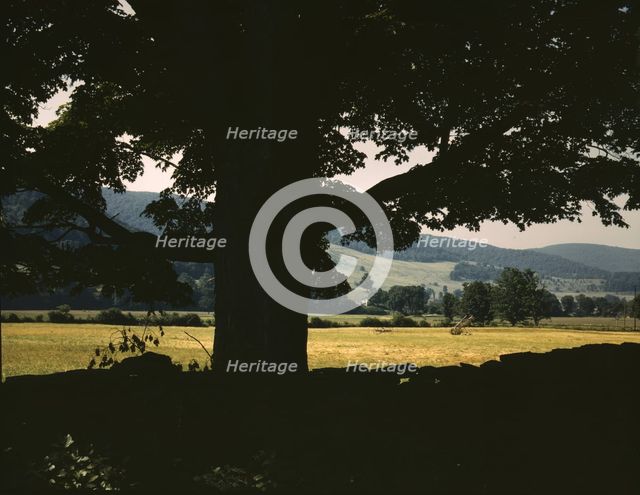 Farmland along the upper Delaware River in New York state, 1943. Creator: John Collier.