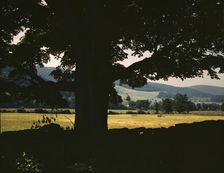 Farmland along the upper Delaware River in New York state, 1943. Creator: John Collier