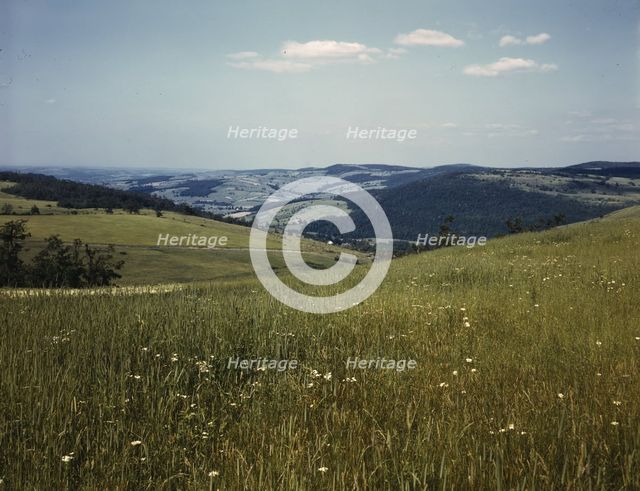 Farmland in the Catskill Mountains, Richmondsville, N.Y., 1943. Creator: John Collier.