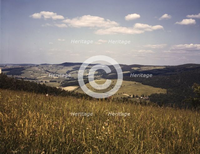 Farmland in the Catskill Mountains, Richmondsville, N.Y., 1943. Creator: John Collier.