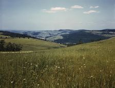 Farmland in the Catskill Mountains, Richmondsville, N.Y., 1943. Creator: John Collier