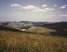 Farmland in the Catskill Mountains, Richmondsville, N.Y., 1943. Creator: John Collier