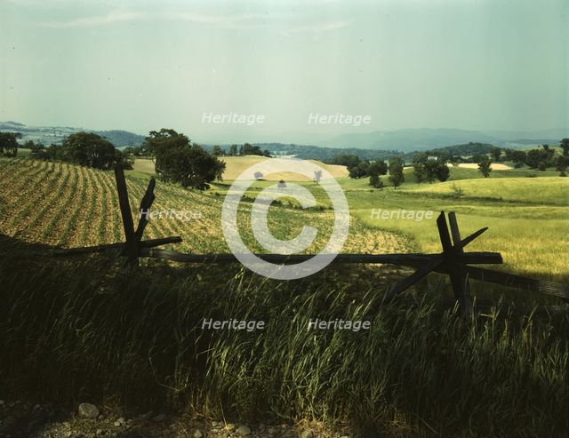 Farmland in the Taconic range, near the Hudson River Valley in New York state, 1943. Creator: John Collier.