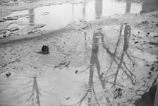 Farmyard covered with flood waters near Ridgeley, Tennessee, 1937. Creator: Walker Evans