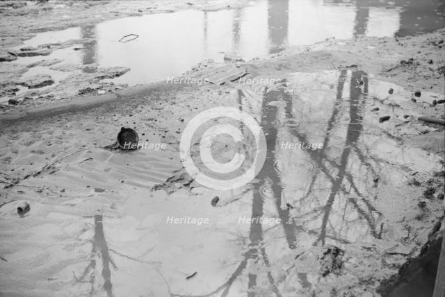 Farmyard covered with flood waters near Ridgeley, Tennessee, 1937. Creator: Walker Evans.