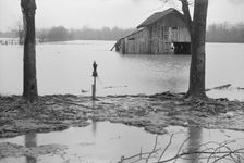 Farmyard covered with flood waters near Ridgeley, Tennessee, 1937. Creator: Walker Evans