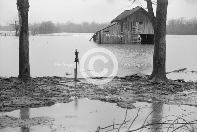 Farmyard covered with flood waters near Ridgeley, Tennessee, 1937. Creator: Walker Evans.