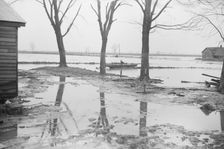 Farmyard covered with flood waters near Ridgeley, Tennessee, 1937. Creator: Walker Evans