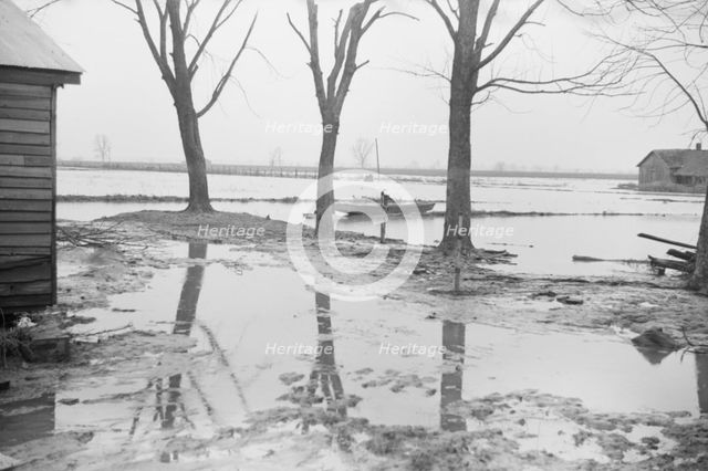 Farmyard covered with flood waters near Ridgeley, Tennessee, 1937. Creator: Walker Evans.