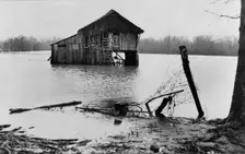 Farmyard covered with flood waters near Ridgeley, Tennessee, 1937. Creator: Walker Evans