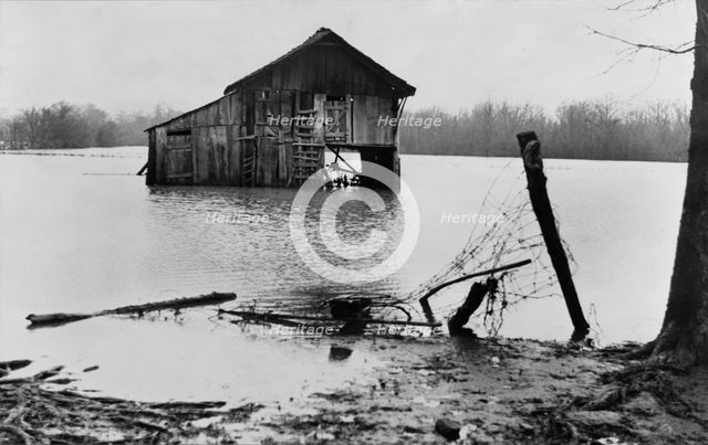 Farmyard covered with flood waters near Ridgeley, Tennessee, 1937. Creator: Walker Evans.