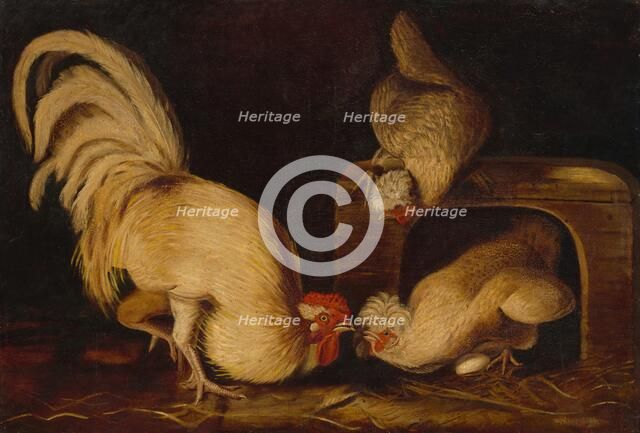 Farmyard Fowls, c. 1827. Creator: John James Audubon.