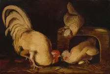 Farmyard Fowls, c. 1827. Creator: John James Audubon