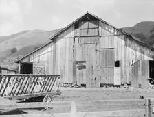 Farmyard of small Italian farmer, Santa Clara County, California, 1939. Creator: Dorothea Lange