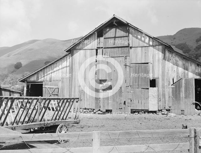 Farmyard of small Italian farmer, Santa Clara County, California, 1939. Creator: Dorothea Lange.