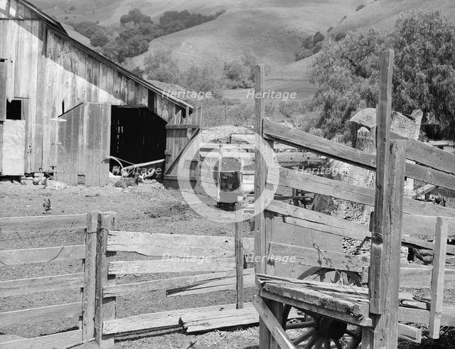 Farmyard of small Italian farmer, Santa Clara County, California, 1939. Creator: Dorothea Lange.