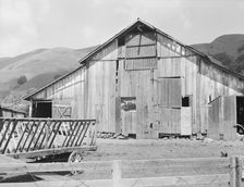Farmyard of small Italian farmer, Santa Clara County, California, 1939. Creator: Dorothea Lange