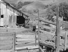 Farmyard of small Italian farmer, Santa Clara County, California, 1939. Creator: Dorothea Lange
