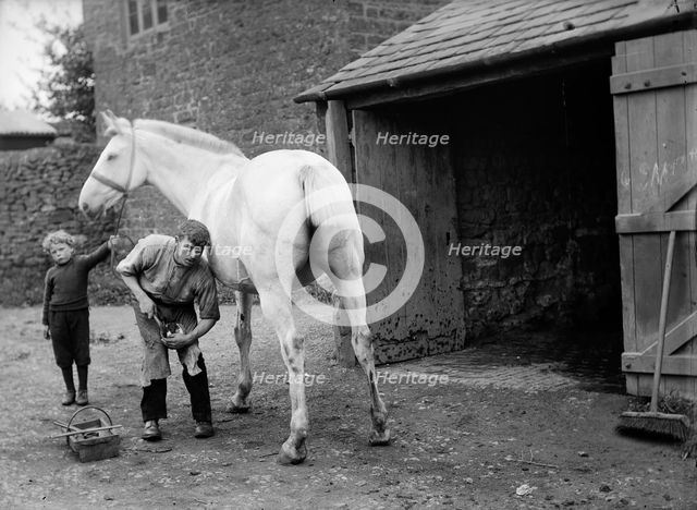 Farrier at Hellidon, Northamptonshire, c1896-c1920. Artist: Alfred Newton & Sons