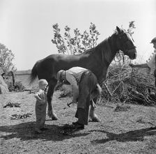 Farrier at Soham, Cambridgeshire, 1948. Artist: Hallam Ashley