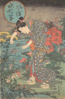 Fashionable Seven Autumn Plants (Fuzoku aki nanakusa), first hal..., first half of the 19th century. Creator: Toyohara Sadatora