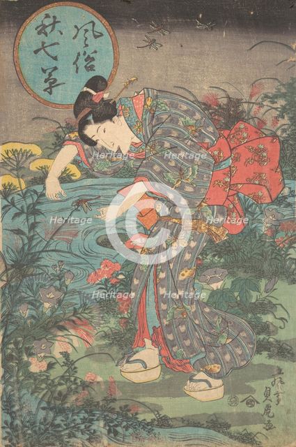 Fashionable Seven Autumn Plants (Fuzoku aki nanakusa), first hal..., first half of the 19th century. Creator: Toyohara Sadatora.