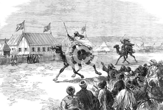 Fetes of the Viceroy of Egypt at Cairo: the dromedary-race, 1869. Creator: Unknown.