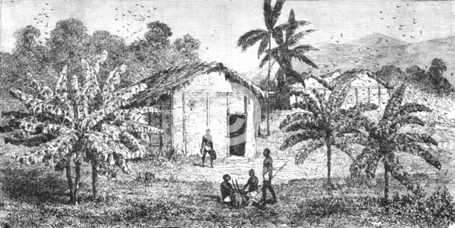 'Fetiche Banana trees; The Gaboon.', 1875. Creator: Unknown.
