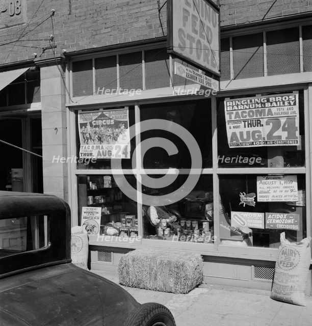 Feed store opposite bank, Tenino, Thurston County, Western Washington, 1939. Creator: Dorothea Lange.