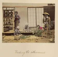 Feeding the silkworms, about 1873-1883. Creator: Shinichi Suzuki I