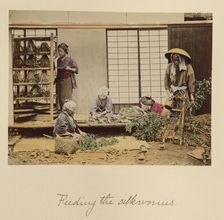 Feeding the silkworms, about 1873-1883. Creator: Shinichi Suzuki I