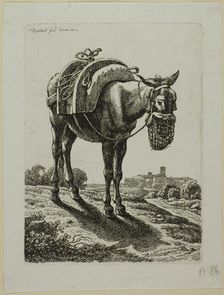 Feeding Mule - Front, from Die Zweite Thierfolge, 1800. Creator: Johann Christian Reinhart