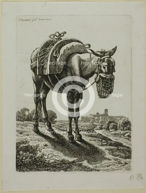 Feeding Mule - Front, from Die Zweite Thierfolge, 1800. Creator: Johann Christian Reinhart.