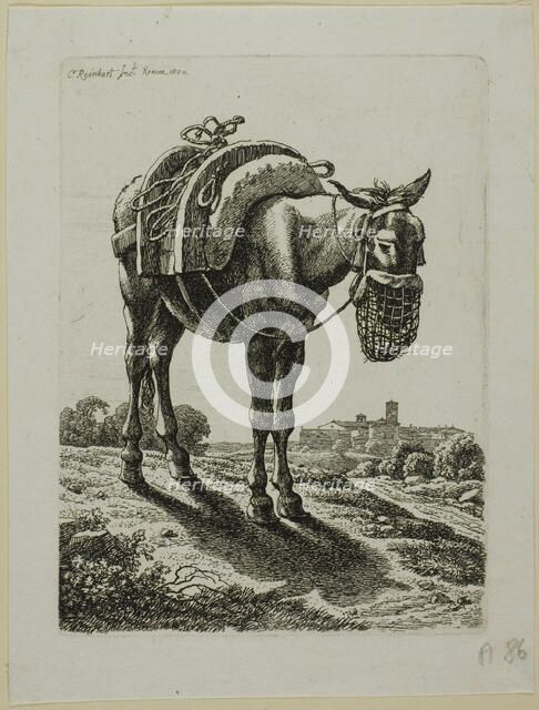 Feeding Mule - Front, from Die Zweite Thierfolge, 1800. Creator: Johann Christian Reinhart.