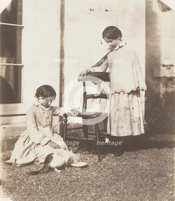 Feeding Poor Puss, 1853-56. Creator: John Dillwyn Llewelyn.