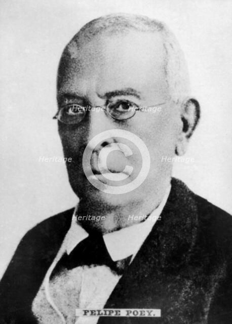 Felipe Poey (1799-1891), Cuban zoologist. Artist: Unknown