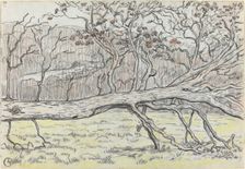 Felled Tree, Normandy, 1898. Creator: Georges Lacombe