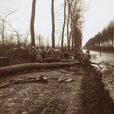 Felling trees, Noyon, northern France, c1914-c1918