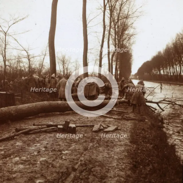 Felling trees, Noyon, northern France, c1914-c1918. Artist: Unknown.