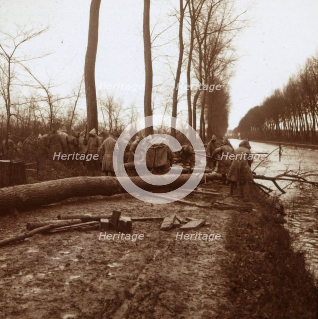 Felling trees, Noyon, northern France, c1914-c1918. Artist: Unknown.