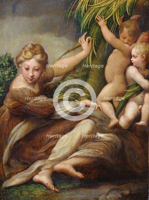 Female Martyr with Angels (Saint Catherine of Alexandria?), c1523-1524. Creator: Parmigianino.