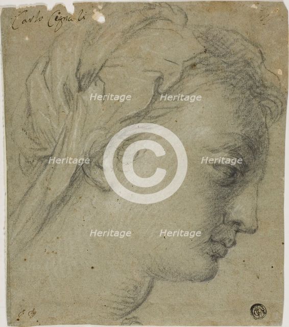 Female Head in Profile to Right, n.d. Creator: Carlo Cignani.