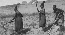 'Femmes zouloues aux champs; Afrique Australe 1914. Creator: Unknown